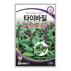 모칸도 (무배) 세계종묘 허브씨앗 타이바질 100립